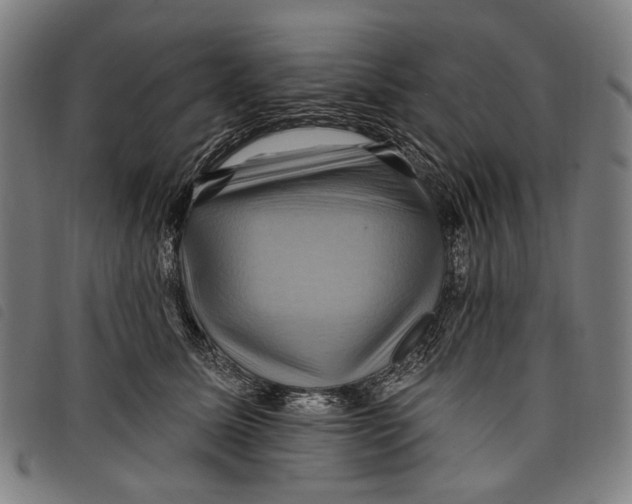 X0000097830611200804041422