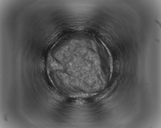 X0000097830612200804041422