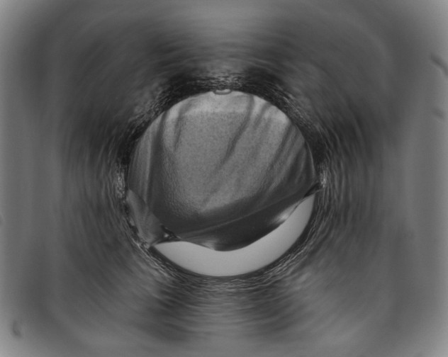 X0000097830613200804041422