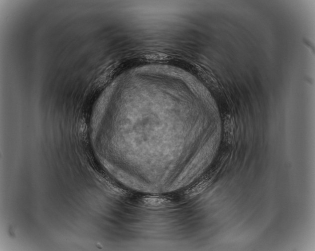 X0000097830614200804041422