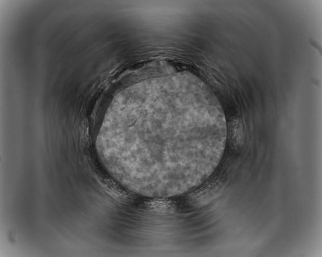 X0000097830615200804041422