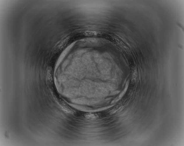 X0000097830616200804041422