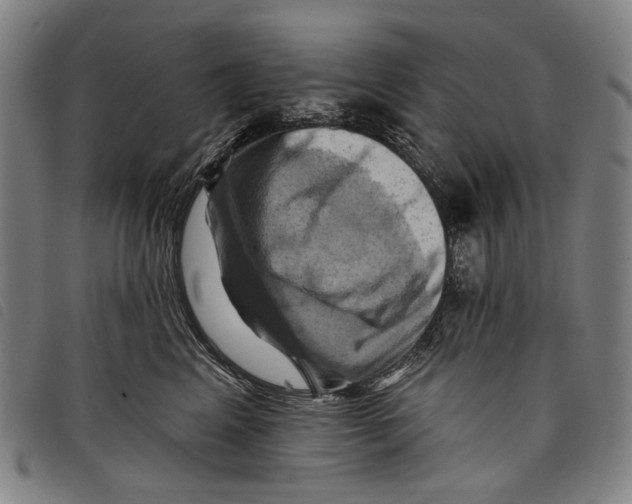 X0000097830617200804041422