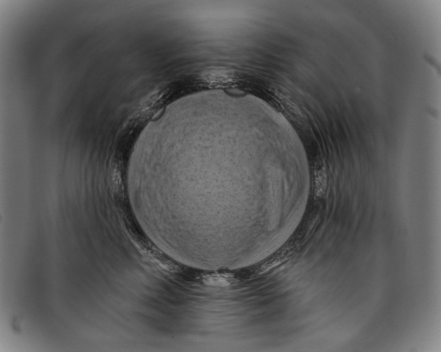 X0000097830618200804041422