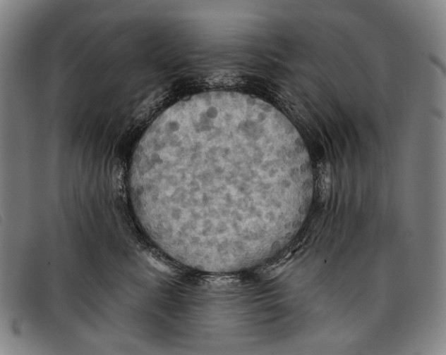 X0000097830619200804041422