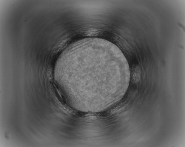 X0000097830620200804041422