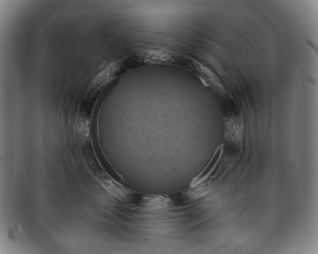 X0000097830621200804041422