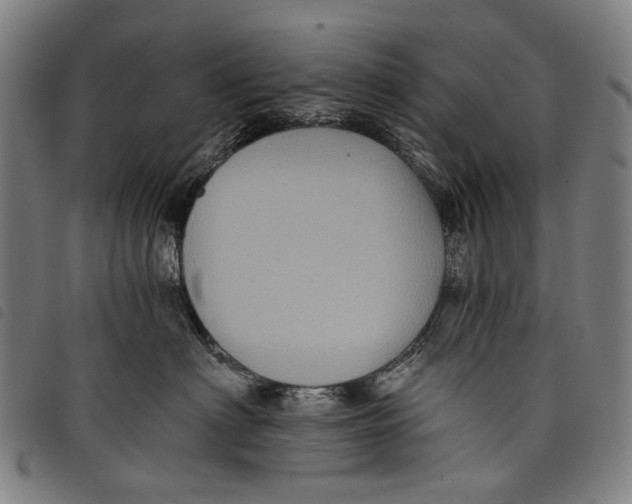 X0000097830622200804041422