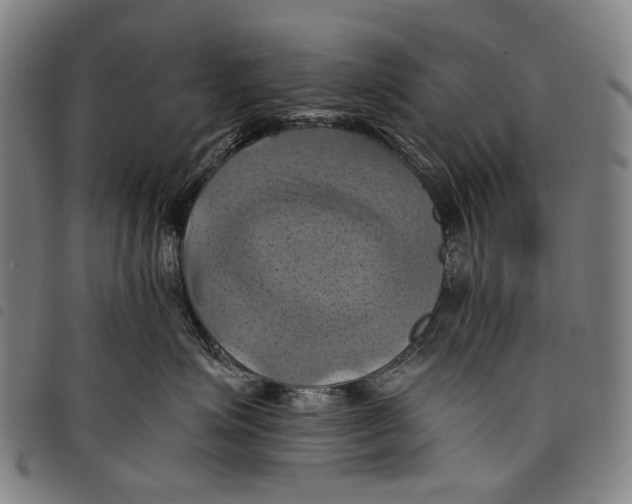 X0000097830623200804041422