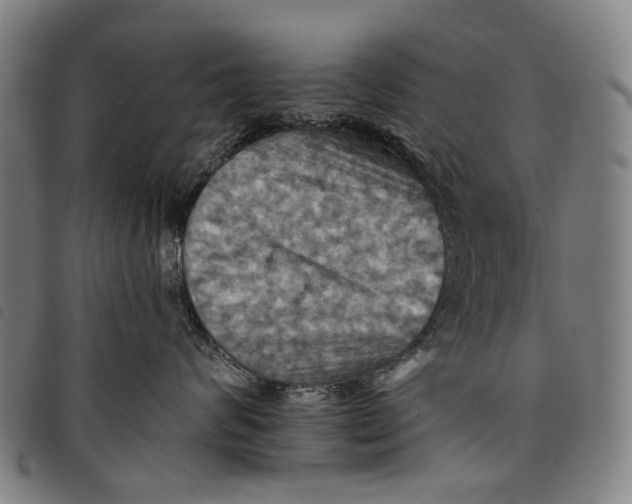 X0000097830624200804041422