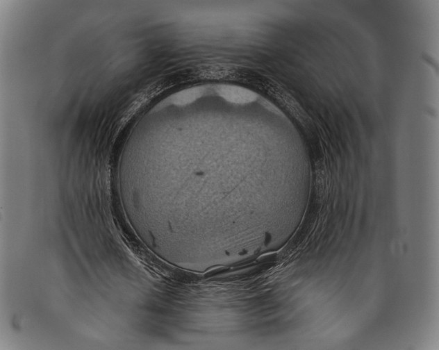 X0000097830626200804041422