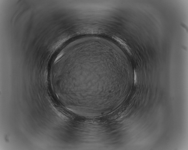 X0000097830627200804041422