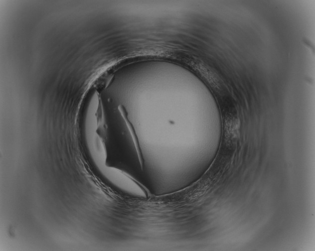 X0000097830628200804041422