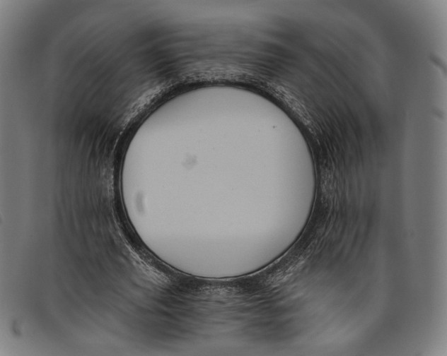 X0000097830629200804041422