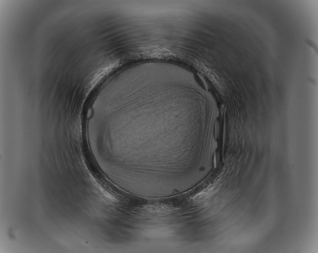 X0000097830630200804041422