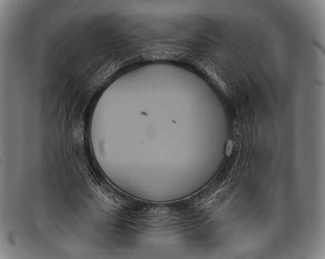 X0000097830631200804041422