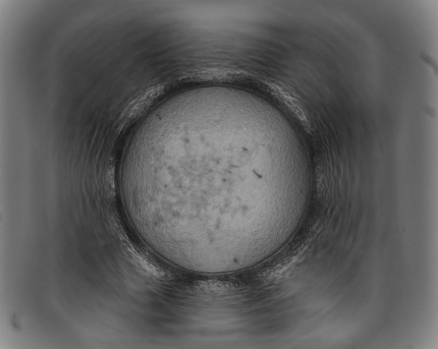 X0000097830633200804041422