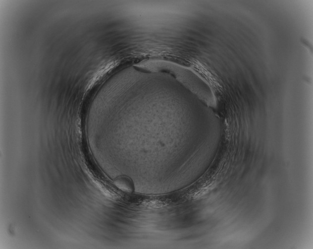 X0000097830634200804041422