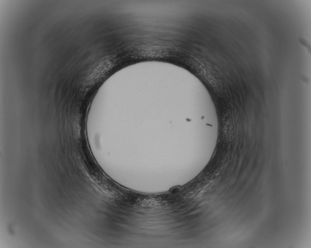 X0000097830635200804041422