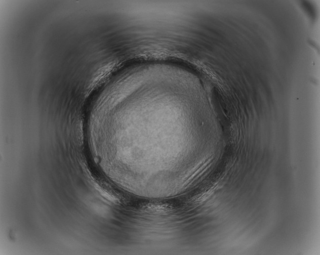 X0000097830638200804041422