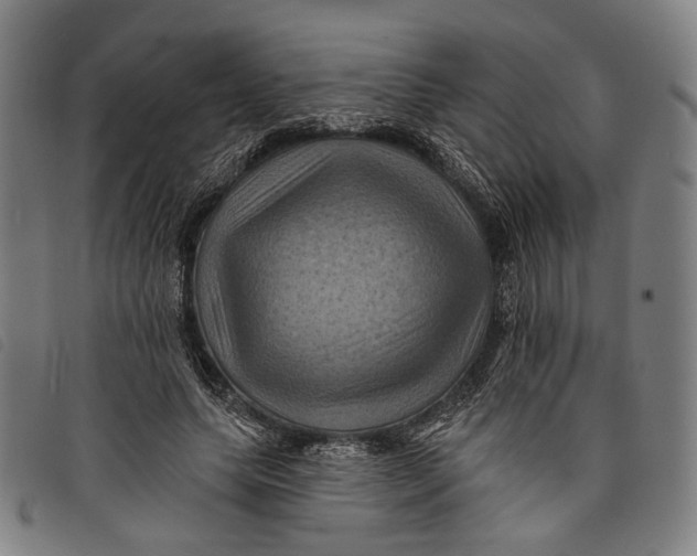 X0000097830639200804041422