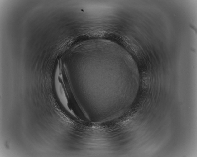 X0000097830641200804041422