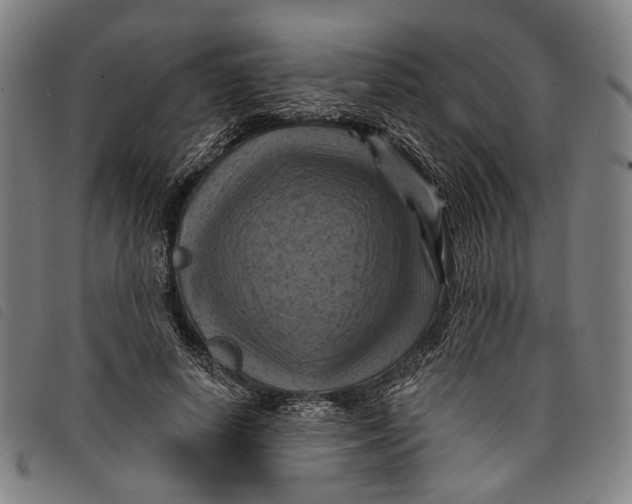 X0000097830642200804041422