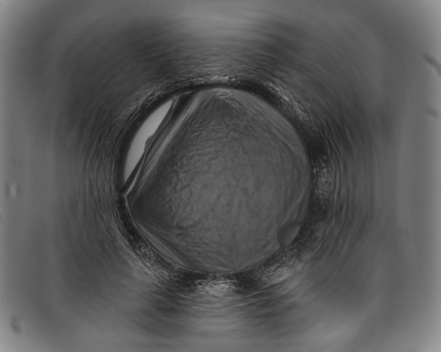 X0000097830643200804041422