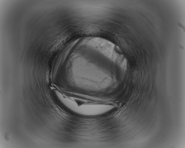 X0000097830644200804041422