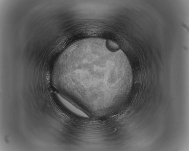 X0000097830646200804041422