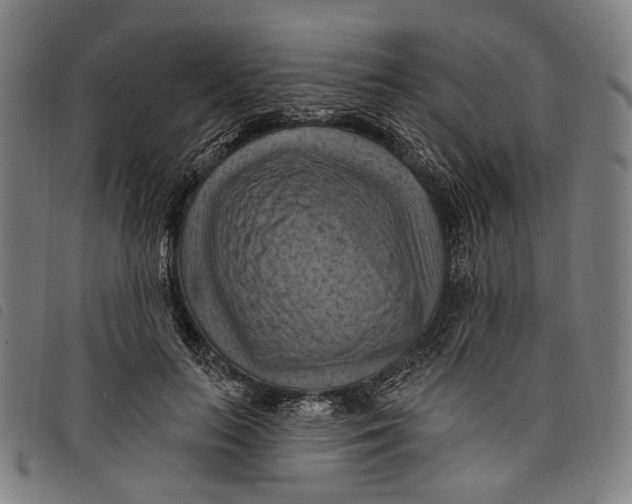 X0000097830647200804041422