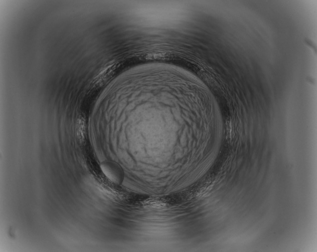 X0000097830648200804041422