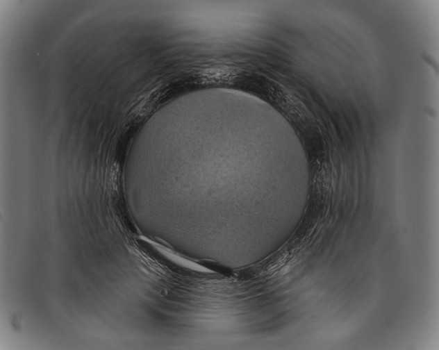 X0000097830649200804041422