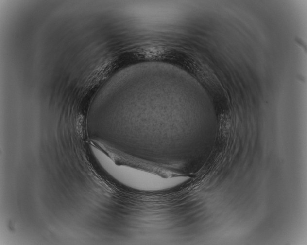 X0000097830650200804041422