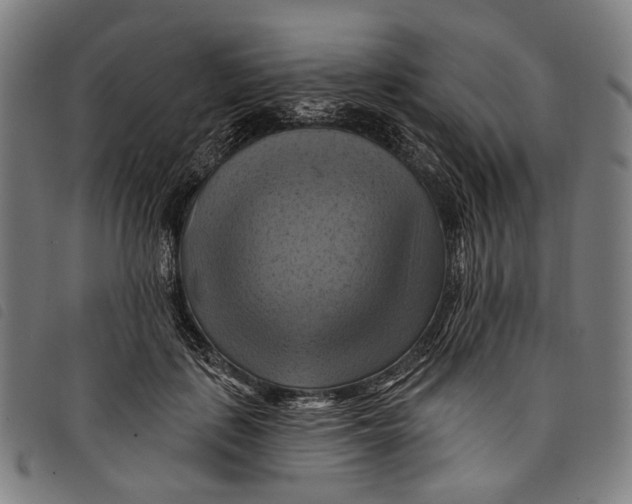 X0000097830651200804041422