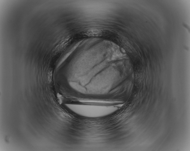 X0000097830652200804041422