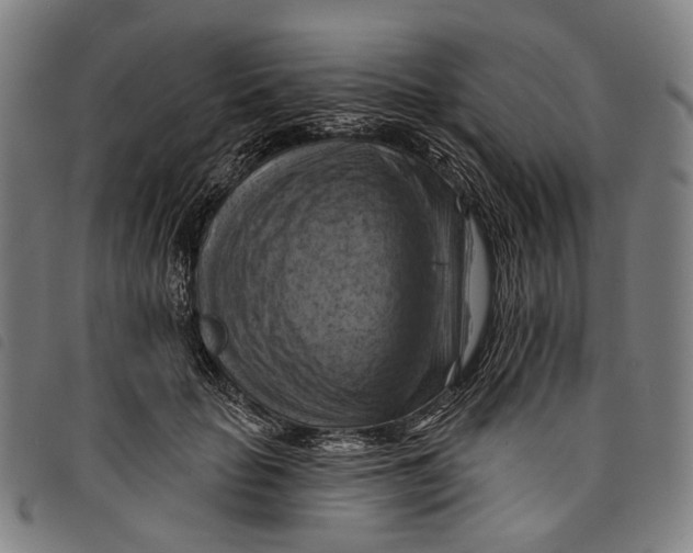 X0000097830653200804041422