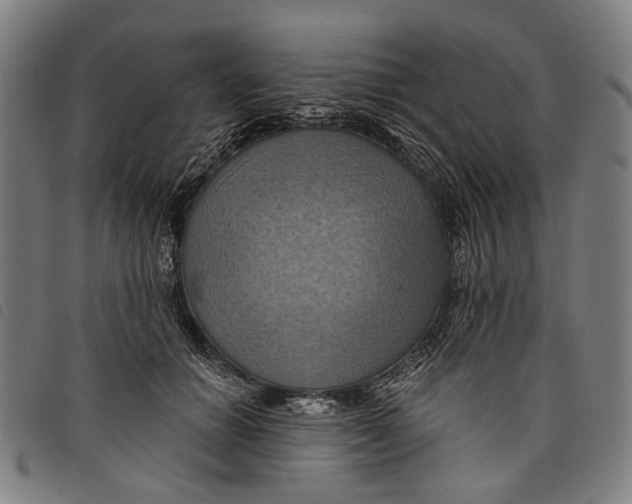 X0000097830654200804041422