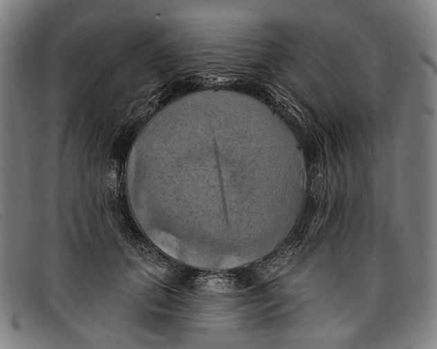 X0000097830655200804041422