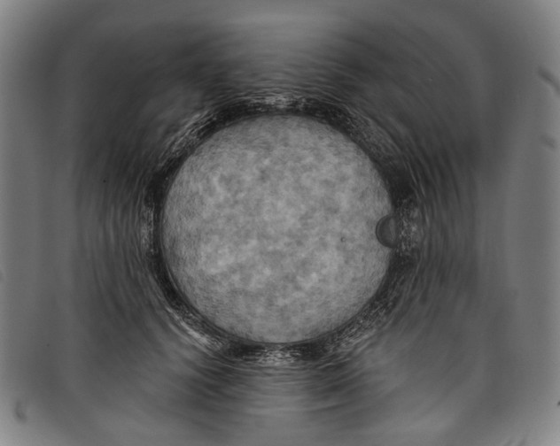 X0000097830656200804041422