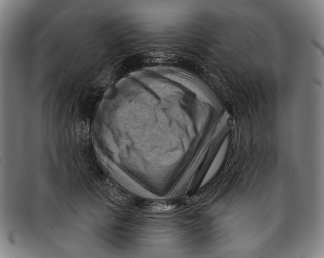 X0000097830657200804041422