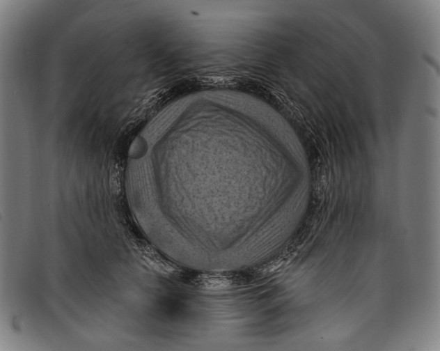 X0000097830658200804041422