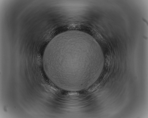 X0000097830659200804041422