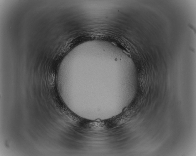 X0000097830660200804041422