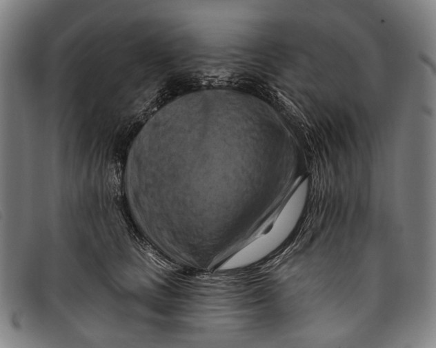 X0000097830661200804041422