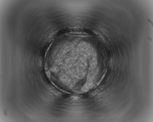 X0000097830662200804041422