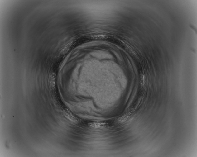 X0000097830664200804041422