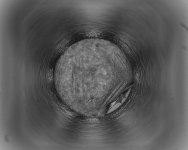 X0000097830665200804041422