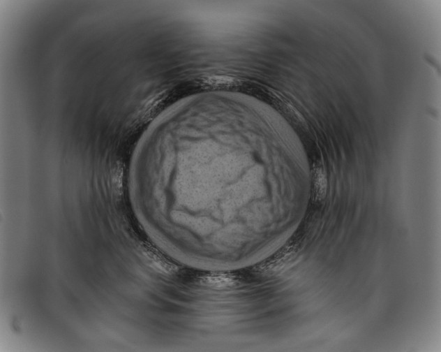 X0000097830668200804041422