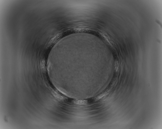 X0000097830670200804041422